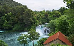 Kaleta